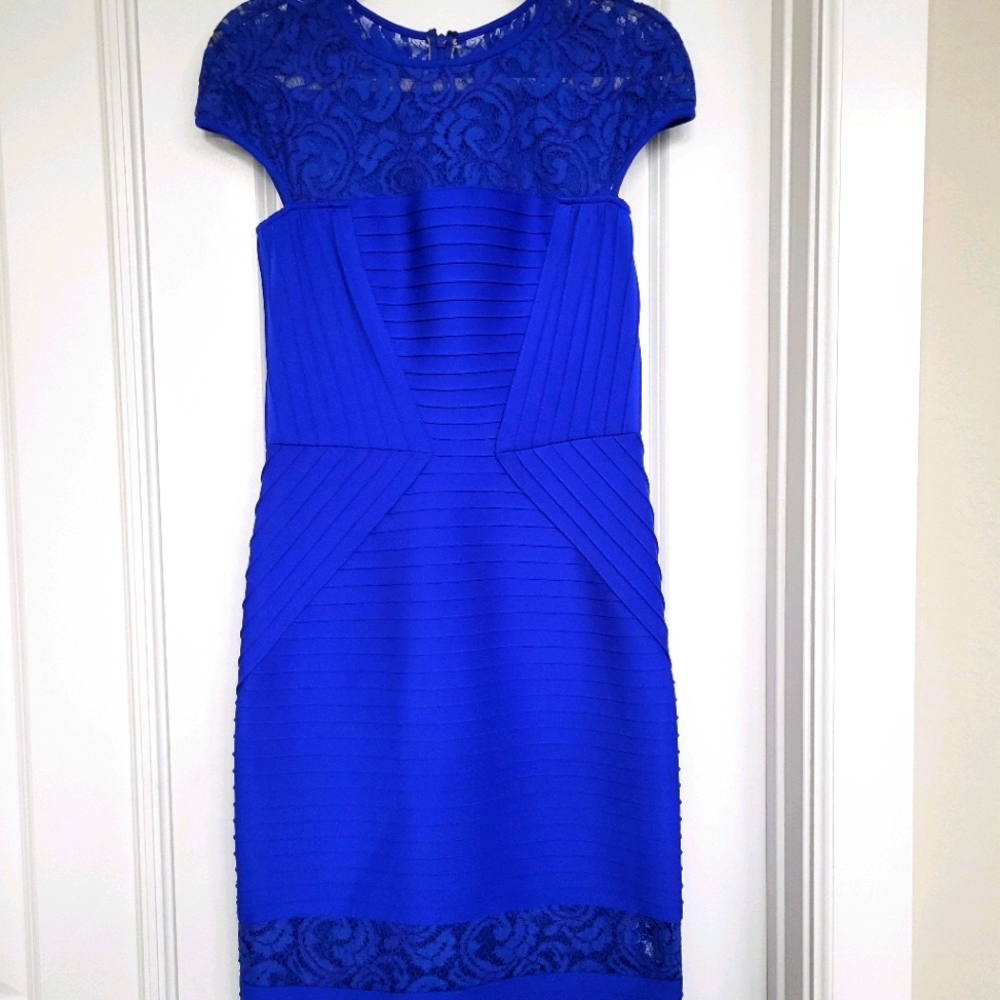 Tadashi Shoji Bodycon Dress